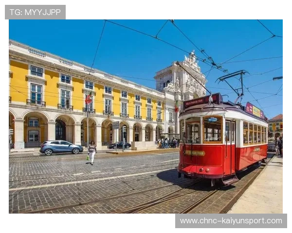 葡萄牙申请追加报告